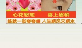 喜茶最新爆料广告,潮流饮品背后的故事