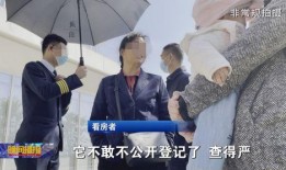 合肥作家爆料事件视频曝光,揭秘背后惊人真相