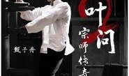 叶问2在线观看,宗师再起，武林传奇