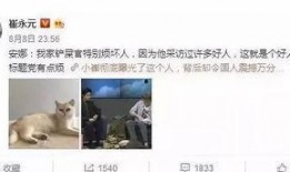 评论区爆料娱乐圈怎么说,揭秘幕后真相与八卦风云