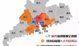 东莞大湾区爆料案件最新,惊天大案背后真相揭晓