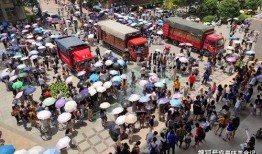 吃瓜网站免费路口,带你领略网络娱乐新风尚