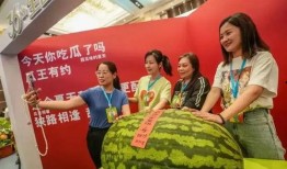 吃瓜大赛免费领奖,吃瓜大赛免费领奖，瓜友狂欢盛宴来袭！