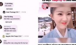 越南爆料博主视频大全,揭秘真实越南生活与热点事件