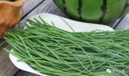 伊犁网红吃瓜,揭秘新疆美食背后的故事