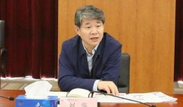 刘华爆料张大炮原视频,原视频曝光惊人内幕