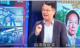 天涯爆料北京名嘴视频,揭秘幕后真相与争议瞬间